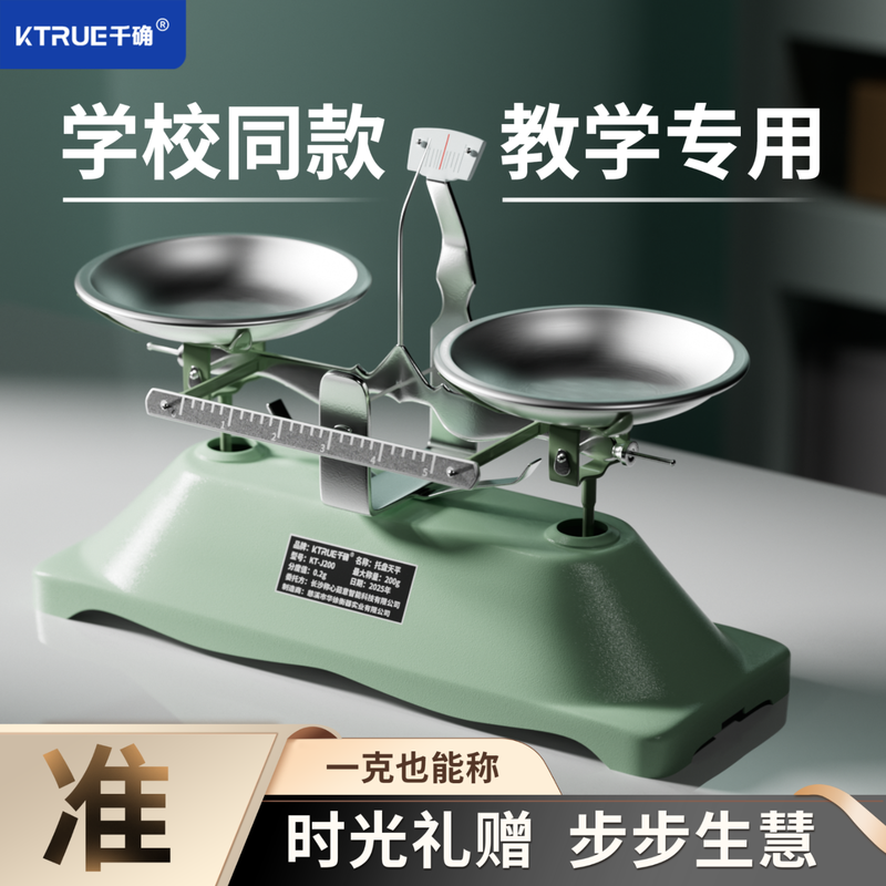 Qianqi accurate pallet balance scale small second grade mathematics, physics and chemistry laboratory high-precision student home physics balance scale preschool interest model 100 grams / accuracy 0.1 grams with weights