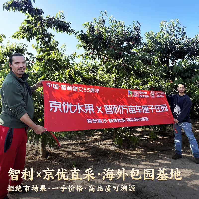 Uncle Sam's Chilean Cherries JD - Next Day Delivery to Many Places 2.5kg 4J Grade Imported Cherry Fruit Gift Box New Year's Gift Box 3kg (Net Weight) 80% Choice - Great Deal Smooth Eats Gift Box (Sweet and Early adopter) J Large Fruit 26-28mm