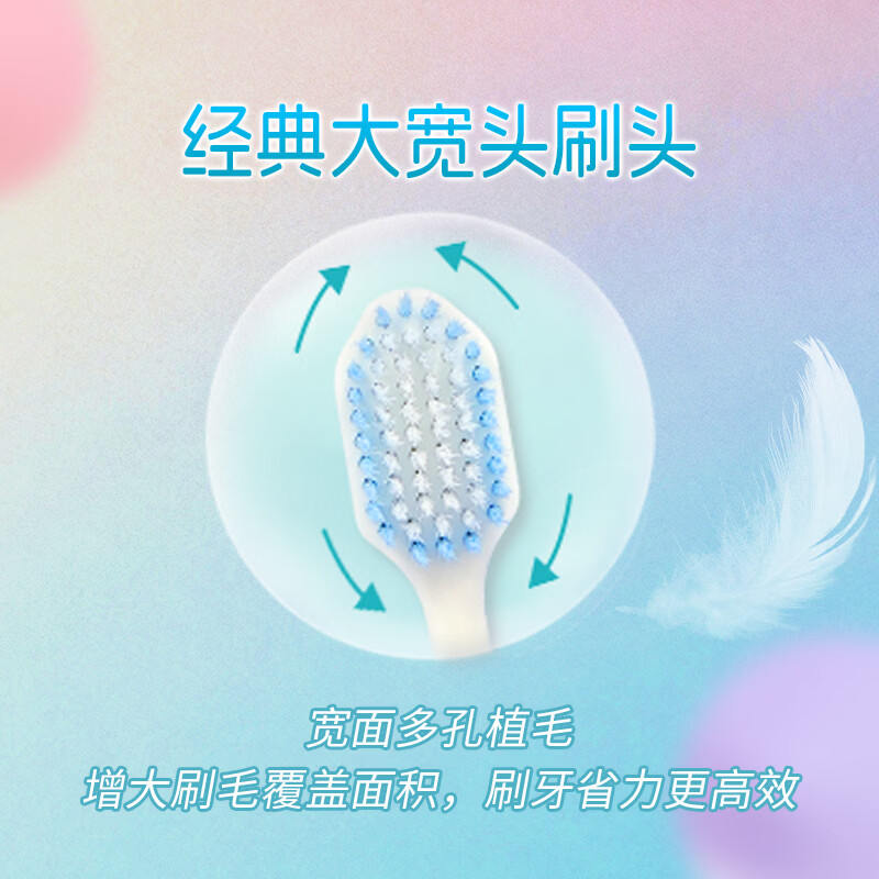 Panax notoginseng soft-bristle toothbrush macaron color clean and soft care Yunnan Panax notoginseng discount set 4 pieces