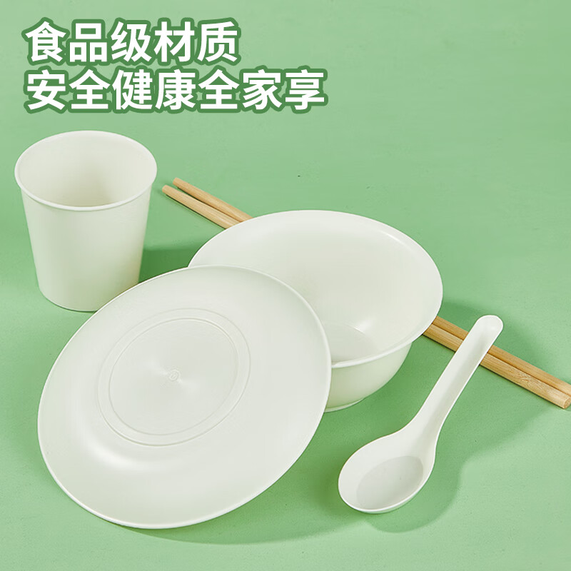 Youao disposable tableware set 5-piece set for 1 person bowls, chopsticks, cups, spoons and plates biodegradable tableware New Year's no-wash dinner party