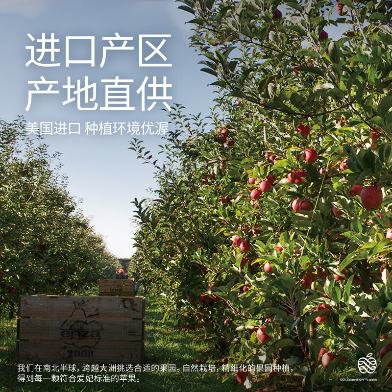 Aifei American Apple Large Fruit 6-piece Fruit Gift Box Imported Fresh Single Fruit Starting from 180g Straight from the Source