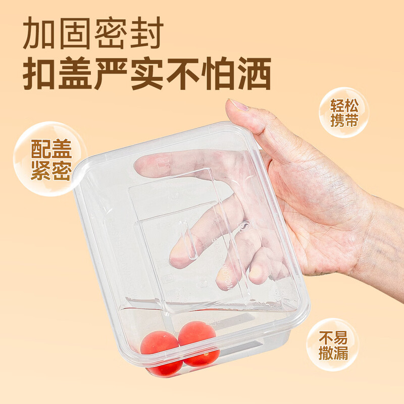 Temeiju disposable lunch box square 750 type * 10 sets for food fast food packed picnic box with lid bowl microwaveable
