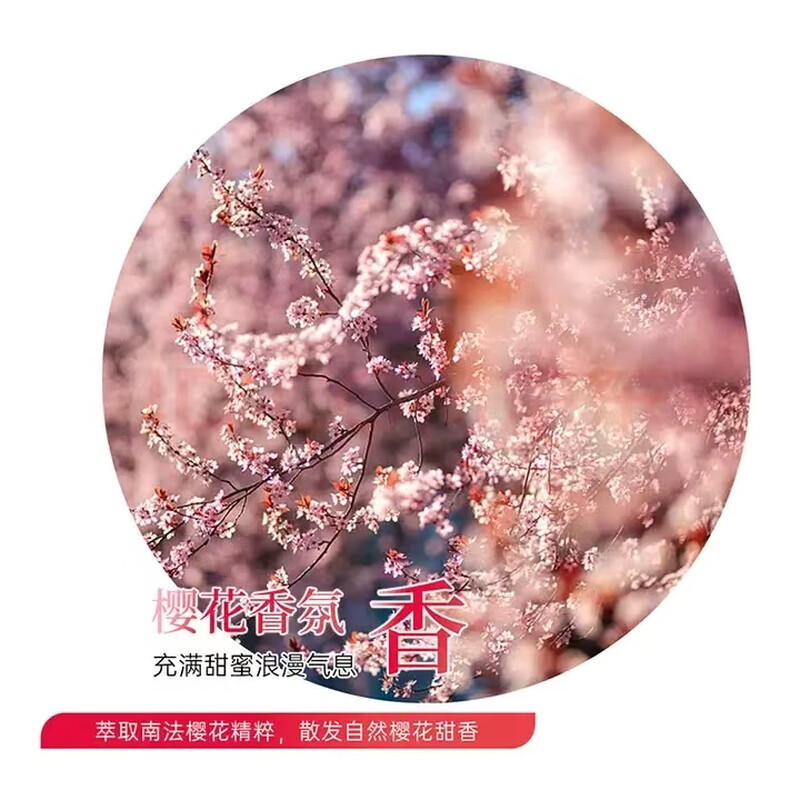 L'Occitane Glass L'Occitane Sakura Body Lotion Shower Gel Shiny Moisturizer 250ml Autumn and Winter Moisturizing Gift L'Occitane 250ml Body Lotion