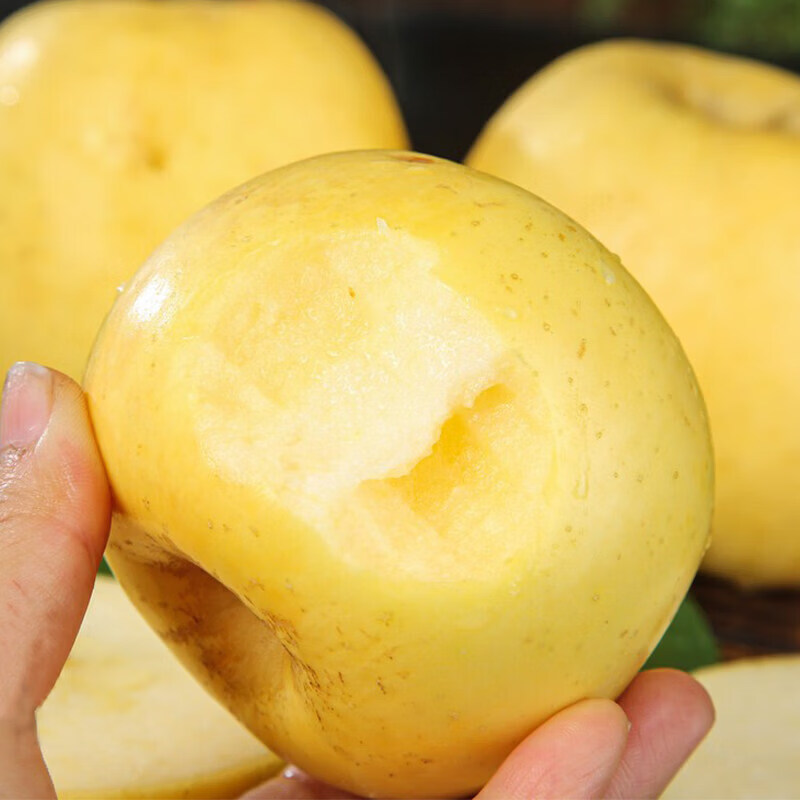 Authentic Shandong Yantai Creamy Fuji Apple Crisp, Sweet and Juicy 4.5-5kg 60-90mm