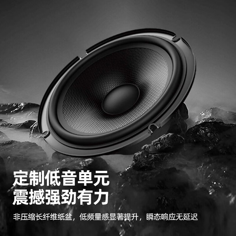 Philips (PHILIPS) CSS1350 home ktv singing equipment karaoke audio 10-inch four-way nine-unit high-power professional karaoke home conference classroom training stage performance speaker