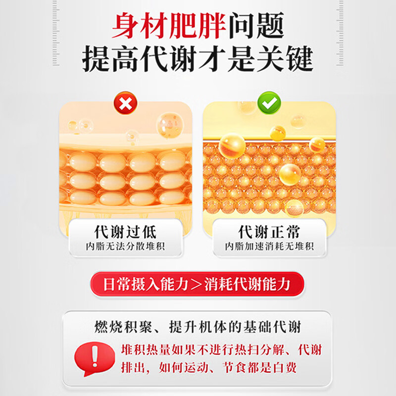 21 Golden Vita Vitamin B Complex 60 Tablets Multivitamin B Complex Tablets Promote Increased Metabolism Vitamin B12 Reduction