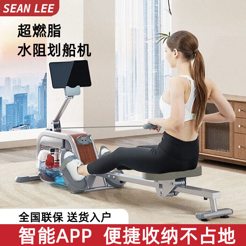 Water Resistance Smart Painting Rowing Machine Indoor Aerobic Household Fat Burning Painting Rowing Machine Weight Loss Sports and Fitness Equipment Monorail Silver Gray