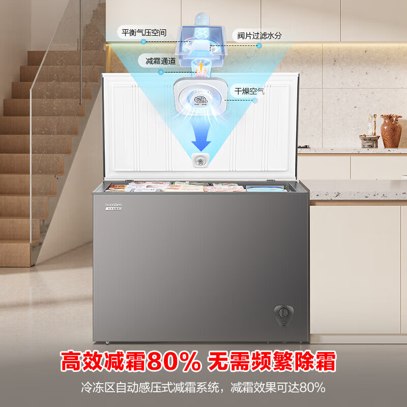 Ronshen Freezer 300L Small Freezer Frost Reducing Home Refrigerator Freezer Conversion Single Temperature Freezer First Class Energy Efficiency Horizontal Home and Commercial Dual-Purpose Deep Freezing Quick Freezer BD/BC-300ZMSMA 300L
