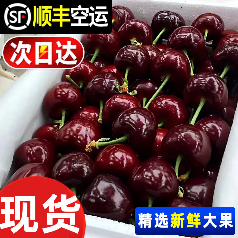 Caiti domestic cherries 5kg4j Dalian Meizao cherry fresh cherries next day delivery fresh fruit seasonal gift box 1kg (net weight) value pack J 26mm (inclusive)-28mm (inclusive)