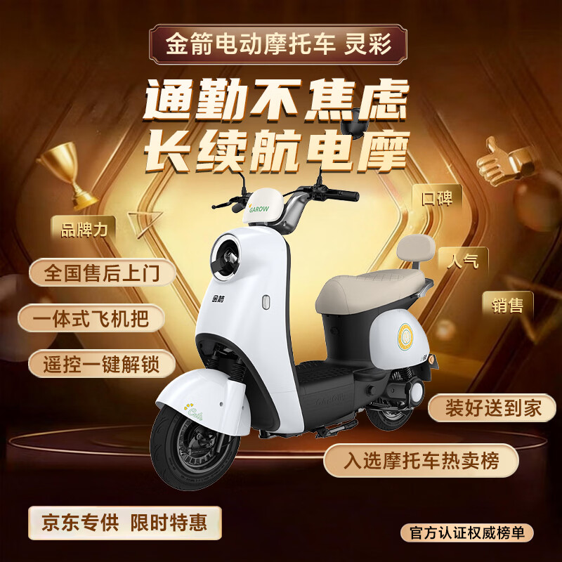 Golden Arrow Electric Motorcycle Popular new product Lingcai 60V20AH lead-acid battery long life 800W high power one-click start smart pedal electric motorcycle building block blue