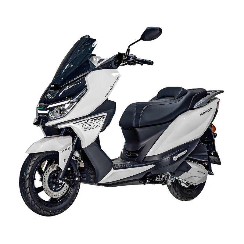 Breaking new 2025 new breaking Raptor GX150 two-wheeled large pedal fuel motorcycle National IV EFI national license plate matte gray Raptor GX150 high-end version 12V