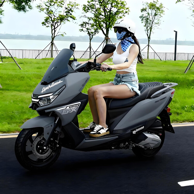 Breaking new 2025 new breaking Raptor GX150 two-wheeled large pedal fuel motorcycle National IV EFI national license plate matte gray Raptor GX150 high-end version 12V