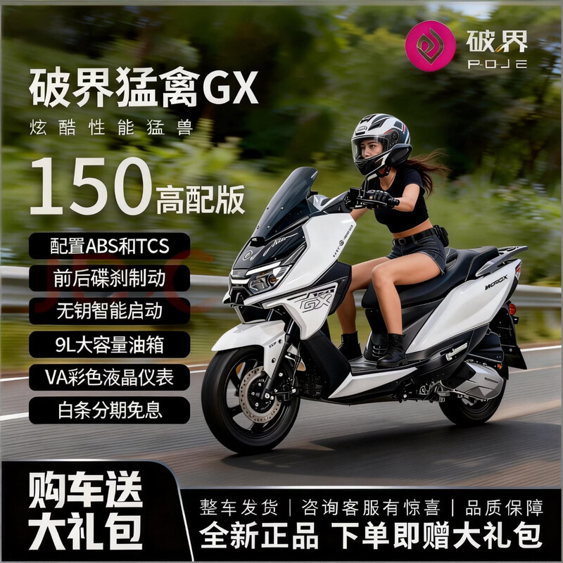 Breaking new 2025 new breaking Raptor GX150 two-wheeled large pedal fuel motorcycle National IV EFI national license plate matte gray Raptor GX150 high-end version 12V