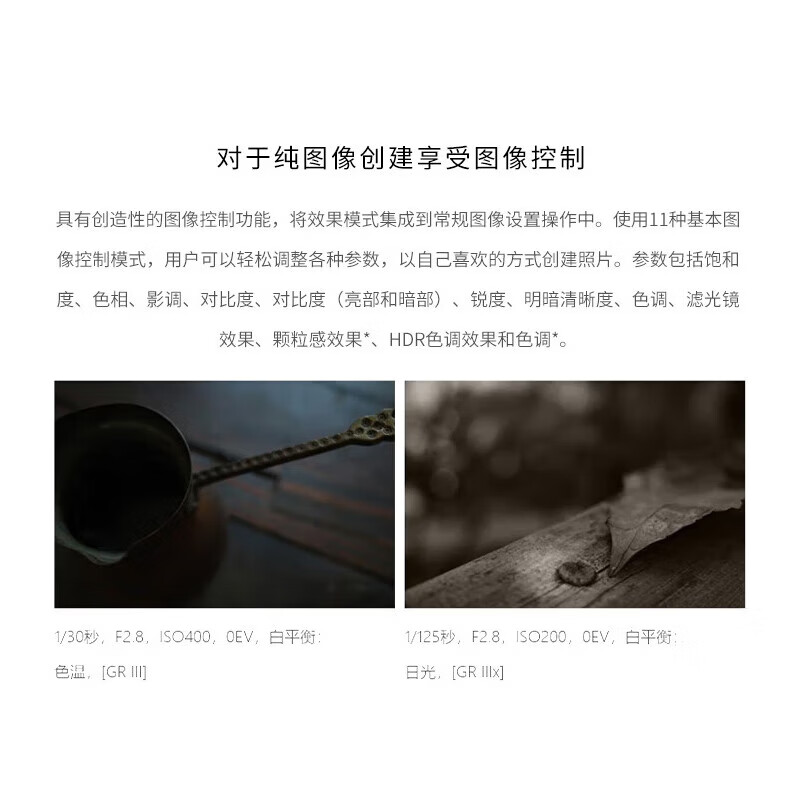 Ricoh (RICOH) GR3/GR3X/GRIII