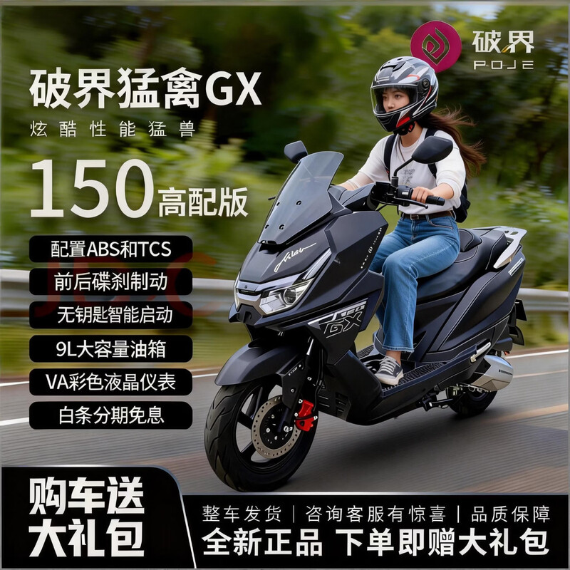 Breaking new 2025 new breaking Raptor GX150 two-wheeled large pedal fuel motorcycle National IV EFI national license plate matte gray Raptor GX150 high-end version 12V