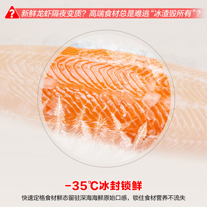 Ronshen Micro-Frost 100L Single Temperature Household Freezer Refrigerator PCM Antibacterial Liner Cryogenic Fresh Lock Level 1 Energy Efficiency Energy Saving Freezer BD/BC-100E10HNLAJ