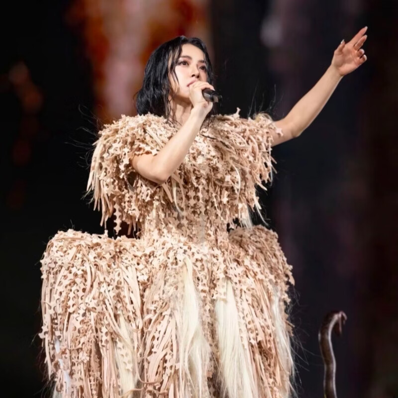 Chongqing Jolin Tsai Concert Tickets Concert Snatching Ticket Proxy Sale March 29, Sunday 19 00 Stand 790, Proxy Sale Not at Original Price Must See Product Details Information Required