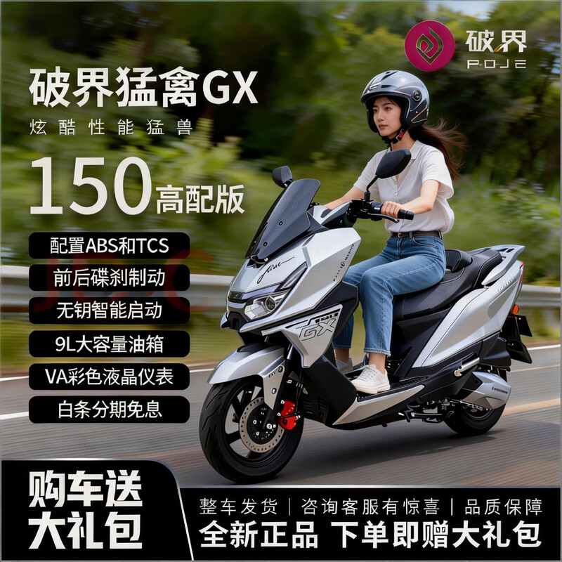 Breaking new 2025 new breaking Raptor GX150 two-wheeled large pedal fuel motorcycle National IV EFI national license plate matte gray Raptor GX150 high-end version 12V