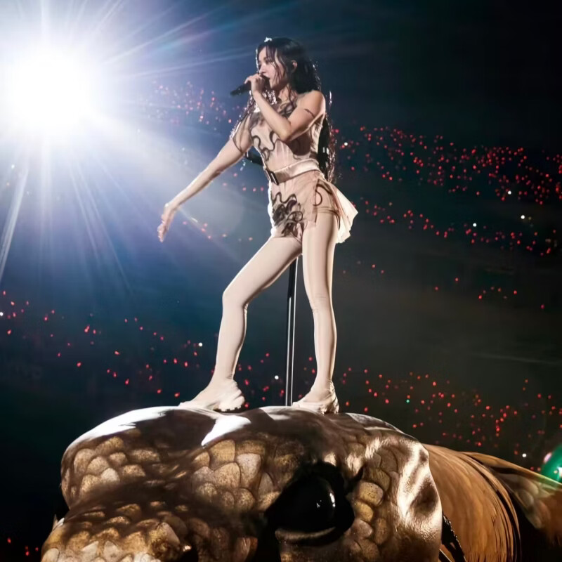 Chongqing Jolin Tsai Concert Tickets Concert Snatching Ticket Proxy Sale March 29, Sunday 19 00 Stand 790, Proxy Sale Not at Original Price Must See Product Details Information Required