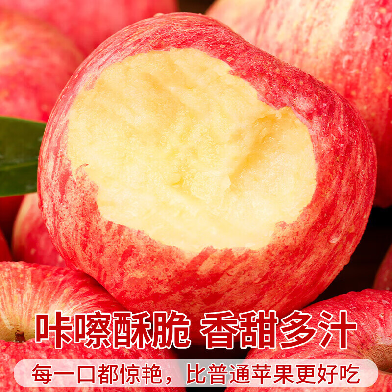 Uncle Sam's Authentic Rock Candy Red Fuji Apple Shanxi Seasonal Fruit Seasonal Fresh Whole Box New Year's Fruit Gift Box 12A Grade Scarce Fruit King | 90mm+ Sweetest 5kg Popular Recommendation - 80% Choice Net 4.5kg