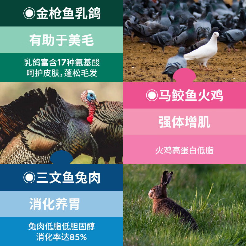 LEGENDSANDY Cat Snacks Cat Rice Canned Cat Strips Wet Food High Meat High Nutrition Hair Cheeks Full Price Meal Pack Mixed Flavor Steamed Fresh Cat Rice Mixed Pack 50g 6 Packs