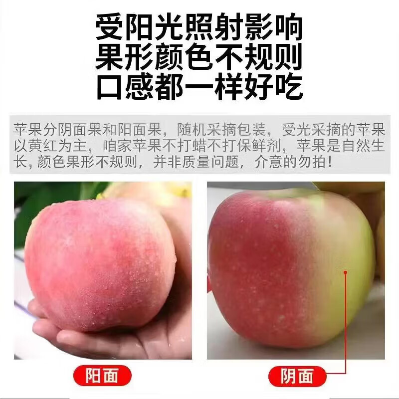 Aksu Apple Xinjiang Aksu Rock Candy Heart Apple Fresh Fruit Xinjiang Specialty Crispy Sweet Red Fuji Fresh New Year Goods for Gifts 10 Jin in Box Single Fruit 70-75mm Net Weight 8.5 Jin