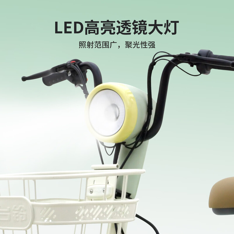 Tailing electric bicycle Koi 2026 new national standard electric bicycle 48V13AH lead-acid battery long battery life can be licensed for men and women commuting to work battery bicycle verdant green