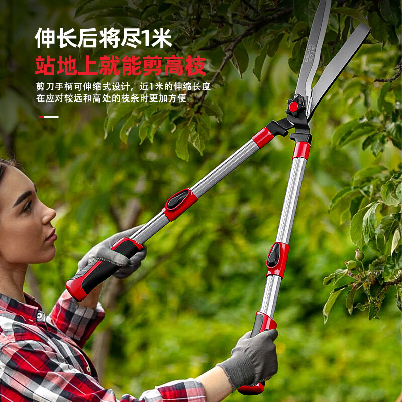Delixi gardening scissors, special pruning shears for cutting grass, pruning branches, lawns, large prunings, greening garden flower scissors, manual agricultural tools, Black King Kong telescopic type + free folding saw