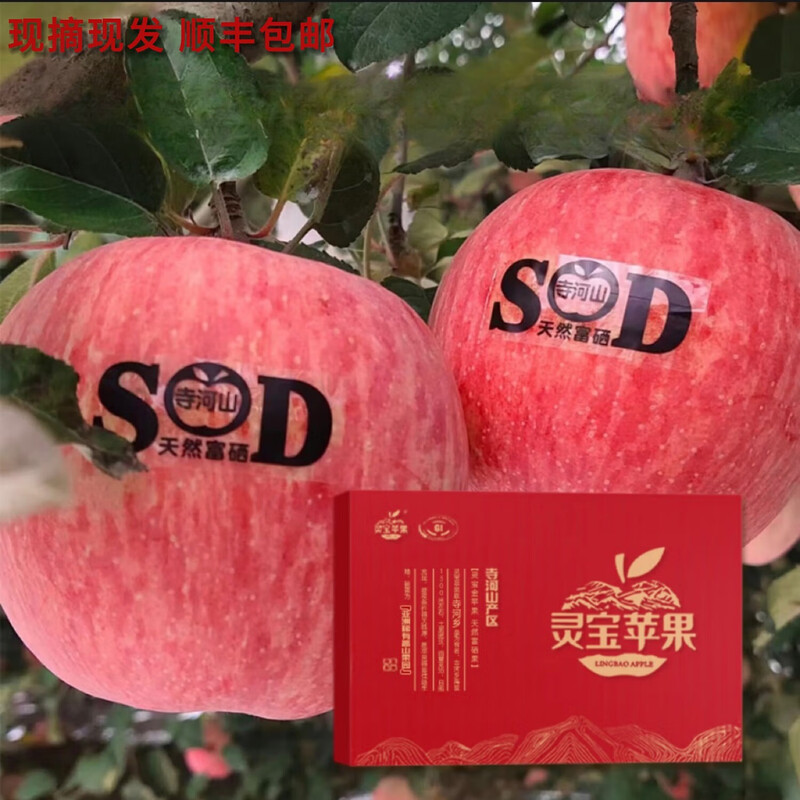 Lingbao Apple LINGBAO APPLE2025 Lingbao Zhengzong Temple Heshan SOD Red Fuji Apple Gift Box Fresh and Natural Selenium-rich Crisp, Sweet and Refreshing 80mm-85mm (15 pieces)
