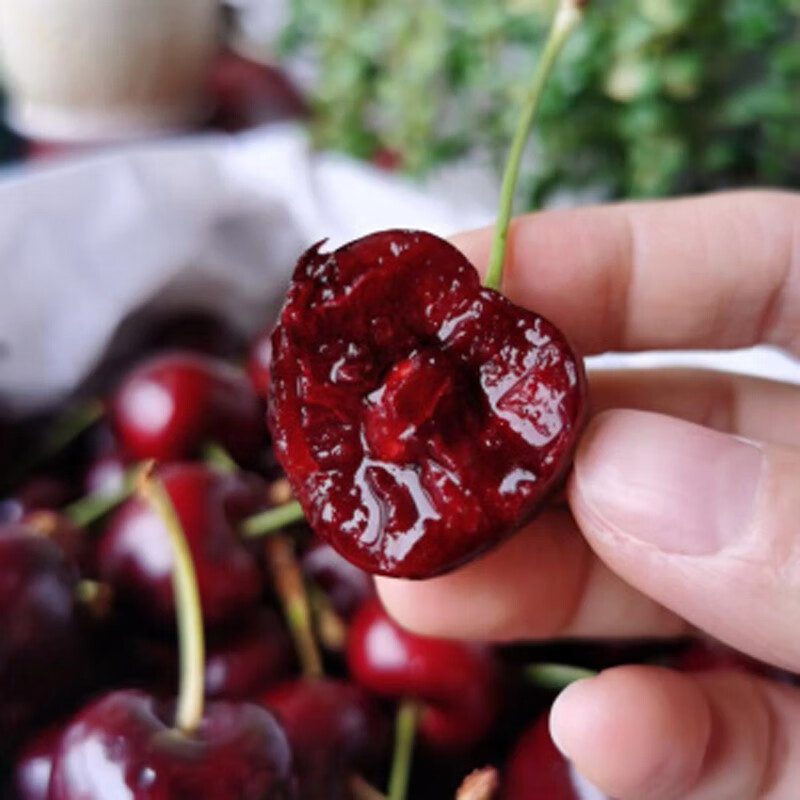 Mu Xiaoqi fruits and vegetables Australian Tasmanian cherries can be delivered to your door Imported REID Golden Kangaroo New Year Fruit Gift Box 1 catties (net weight) High-end gift box + fresh lock Super Big Mac 4J Single fruit 32-34mm