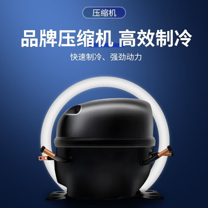 Baili (BAILI) ultra-low temperature freezer-60 commercial large-capacity seafood cell-level freezer minus 80 degrees laboratory large freezer salmon deep-freezing quick-freezing refrigerator 298L丨-86 quick-frozen