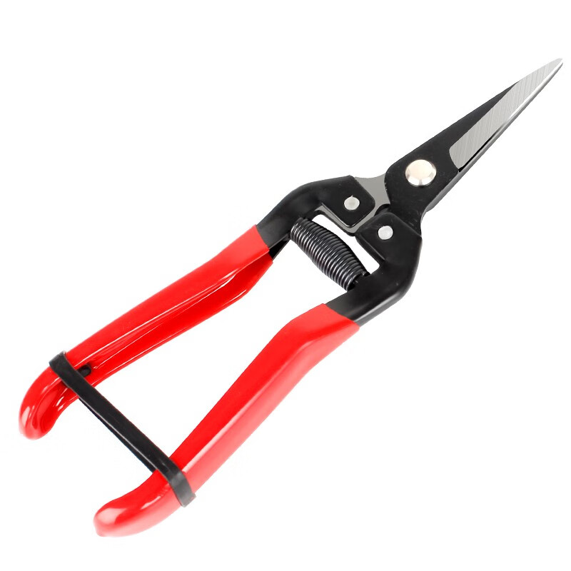 TOSRWELL German flower shears, household flower arranging scissors, potted plant pruning, gardening scissors, flower arranging pruning scissors, manual agricultural tools, fruit picking scissors, red model