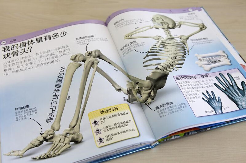 DK preschool children's why encyclopedia, enlightenment for 3-6 year olds, baby question and answer book, parent-child reading bedtime picture book, solving all the whys