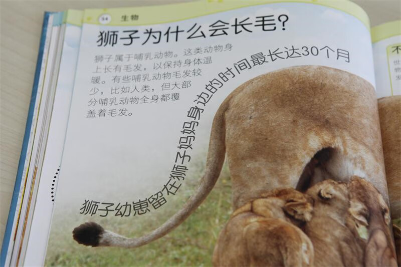 DK preschool children's why encyclopedia, enlightenment for 3-6 year olds, baby question and answer book, parent-child reading bedtime picture book, solving all the whys