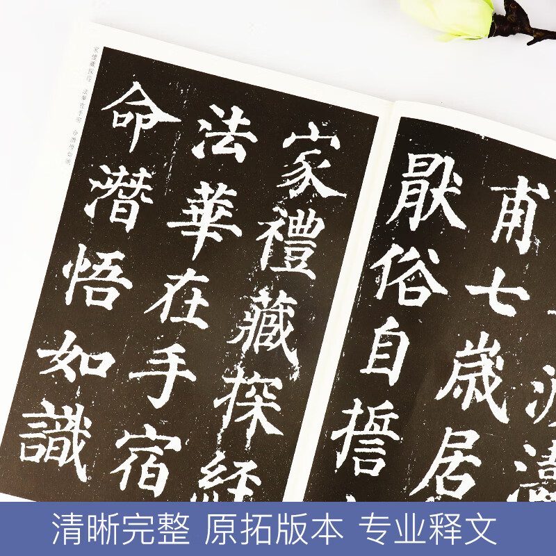 Ink dot copybook Tang Yan Zhenqing Duobao Pagoda original copy Yan style regular script brush calligraphy copybook Beginner entry-level elementary school students adult self-study entry copy copy template training class practical book brush calligraphy