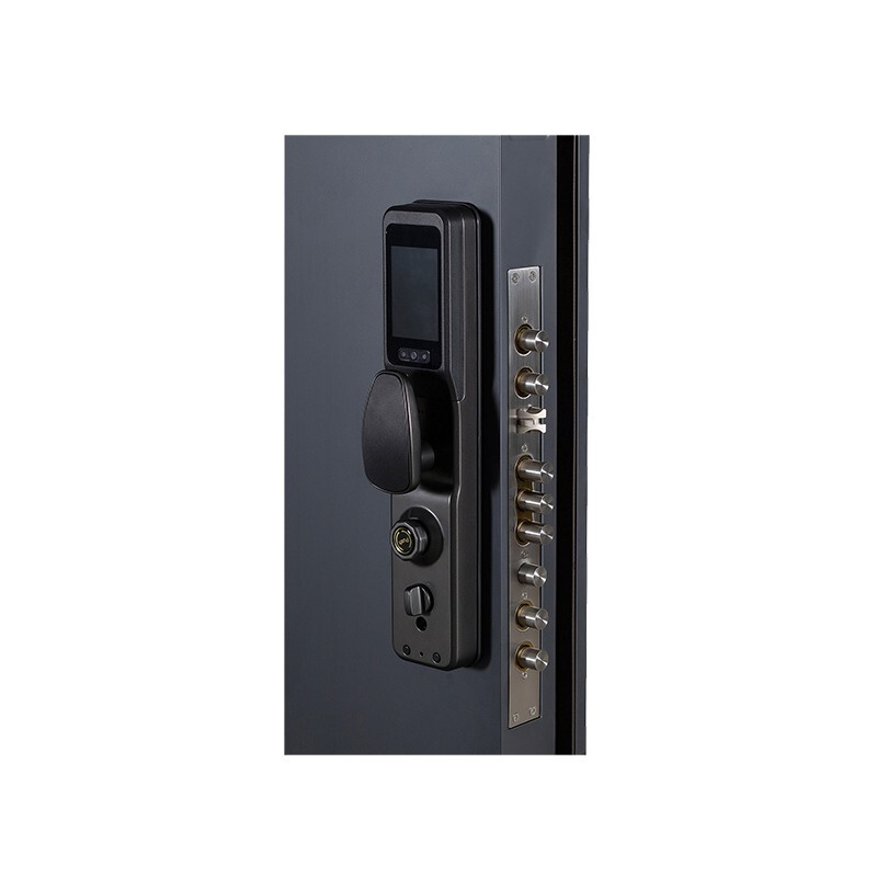 HELE DOORS HELE DOORS Grade A door-Lejia light luxury simple style anti-theft entry door steel door can be customized 2050*960 single leaf