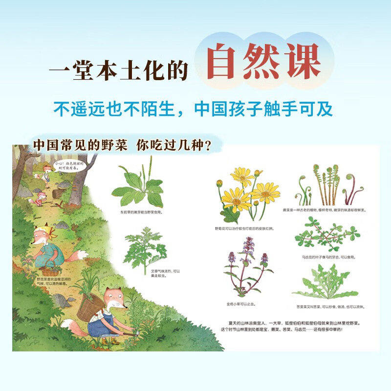 The Fox Family’s Natural Labor Lessons (4 volumes in total) 3-6 years old by the Fox Family