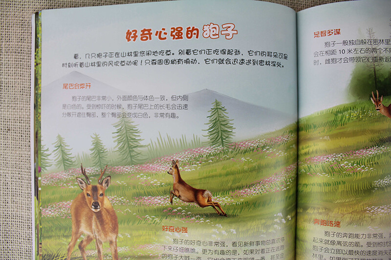 3-6 years old Children's Eyes on the World Science Museum Forest Animals