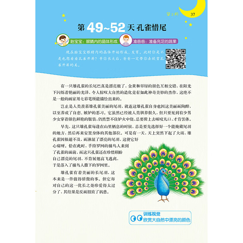 Prenatal education story day and night