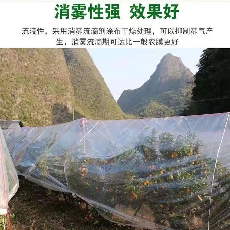 Left card full roll of transparent thickened plastic cloth, tarpaulin, greenhouse film paper, rain-proof, agricultural, dust-proof, moisture-proof, thermal insulation, window covering, 12 wires, transparent and thickened type, commonly used type, 5 meters wide, 10 meters long