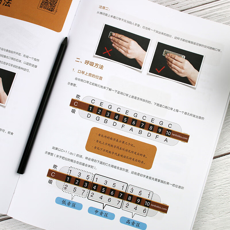 Blues Harmonica January Pass