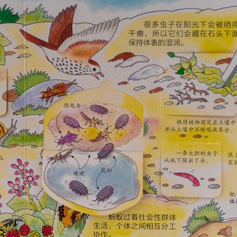 Usborne looks inside and reveals the secrets of the underground (new version)