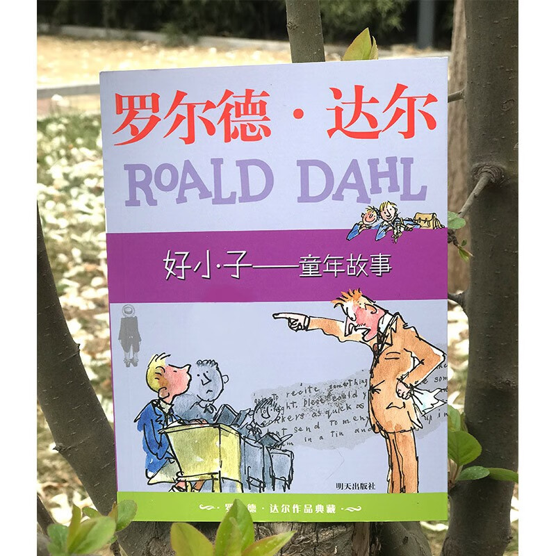 Collection of Roald Dahl's Works Good Boy Childhood Stories Extracurricular Reading Extracurricular Books
