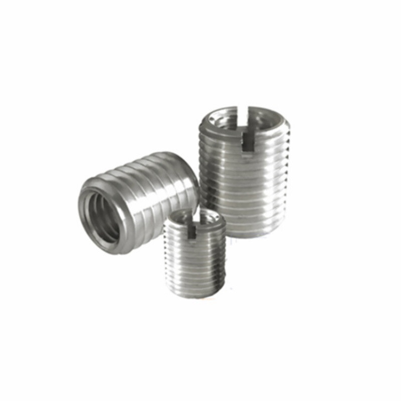 Wenzhi thin-walled internal and external tooth screw sleeve screw sleeve dental sleeve thread conversion sleeve M6 to M8 to M10 to M12 inner M10*1.25 outer M12*1.25 length 15 without slot 5 pcs