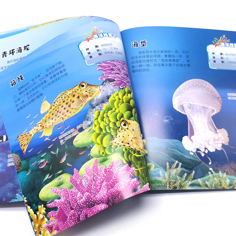 3-6 years old Ocean Illustration 105 kinds of sea animals that fascinate children