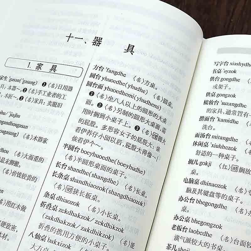 Shanghainese Dictionary (Second Edition)