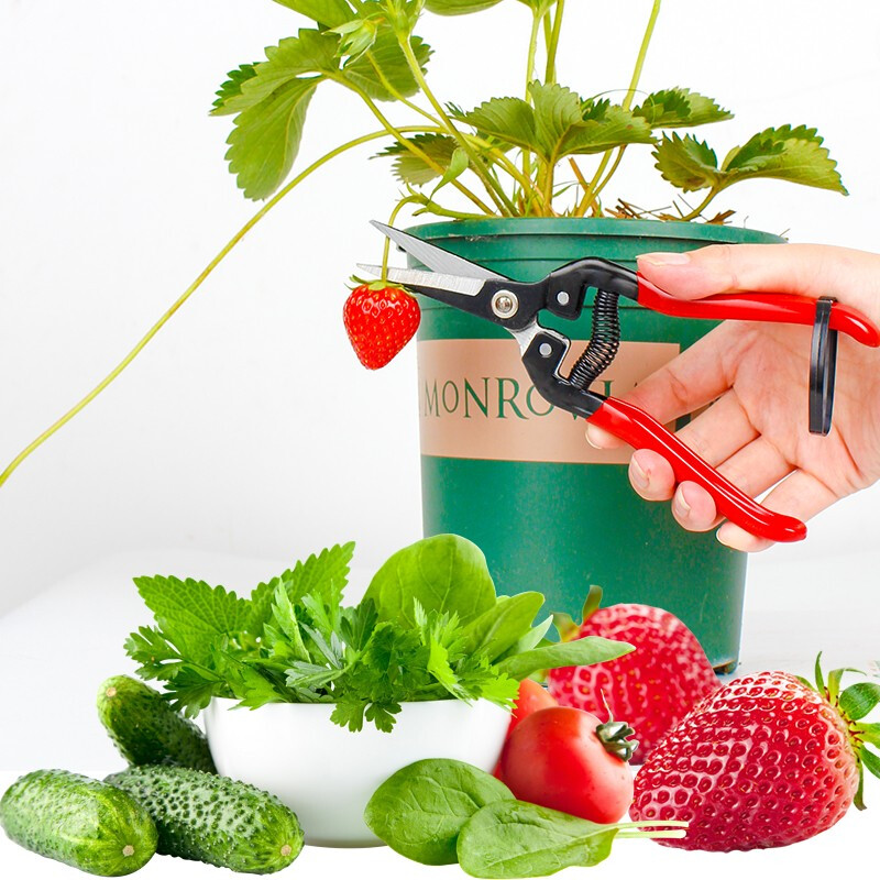 TOSRWELL German flower shears, household flower arranging scissors, potted plant pruning, gardening scissors, flower arranging pruning scissors, manual agricultural tools, fruit picking scissors, red model
