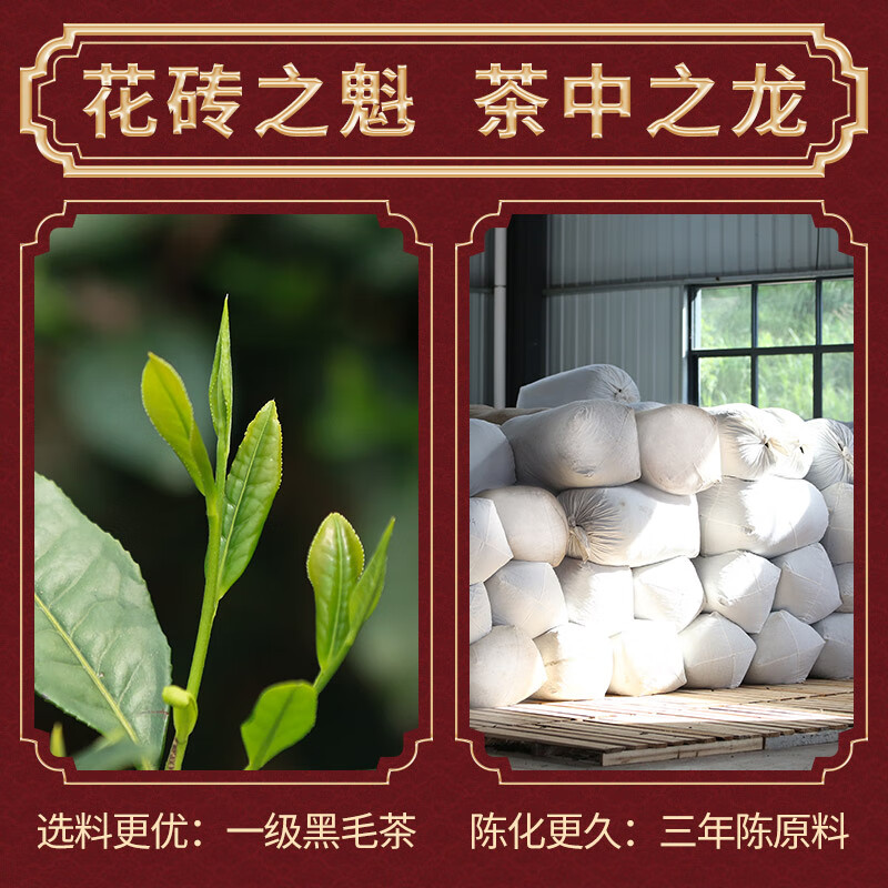 Little Senior Sister’s Tea Review, White Sand River Dragon Walk, Universiade, Year of the Dragon, Zodiac Tile Tea, Anhua Black Tea Special, Ox Turns the World