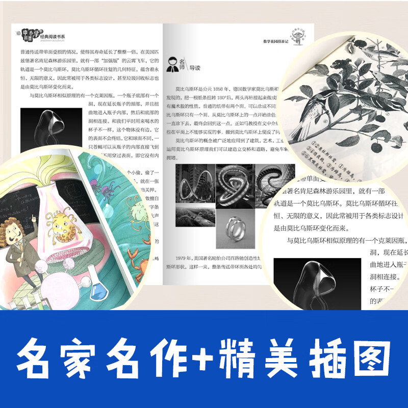 Magical Mathematics Tan Xiangbai (Classic Popular Science Reading Series for Primary and Secondary Schools) Children's Books Extracurricular Readings Primary School Students' Books