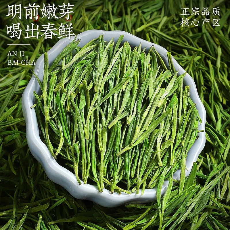 Chen Yifan rare white tea tea green tea Anji Baiye No. 1 tea tree fresh leaves and buds rare white tea 2 cans total 100g